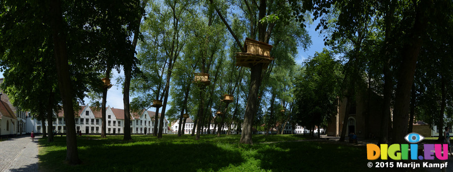 FZ018218-25 Treehouses in Begijnhof, Brugge